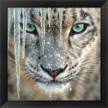 Framed Snow Leopard - Blue Ice Print