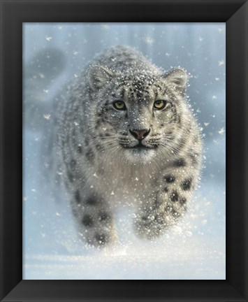 Framed Snow Leopard - Snow Ghost - Vertical Print