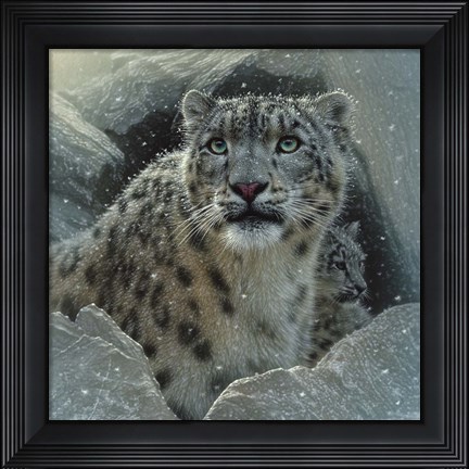 Framed Snow Leopard - The Fortress Print