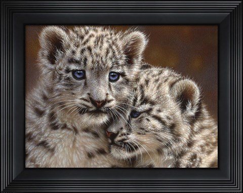 Framed Snow Leopard Cubs - Playmates - Horizontal Print