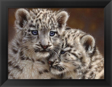 Framed Snow Leopard Cubs - Playmates - Horizontal Print