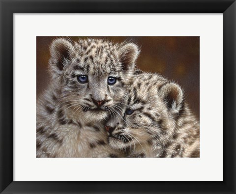 Framed Snow Leopard Cubs - Playmates - Horizontal Print