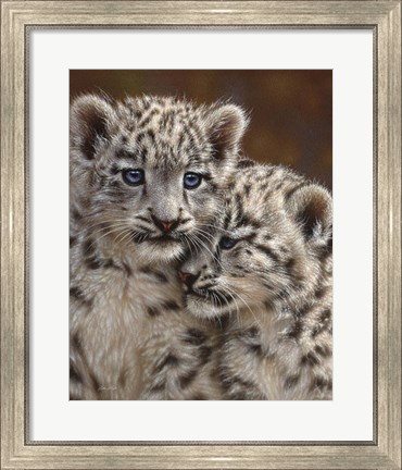 Framed Snow Leopard Cubs - Playmates Print