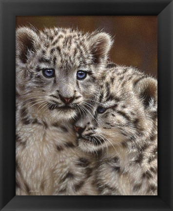 Framed Snow Leopard Cubs - Playmates Print