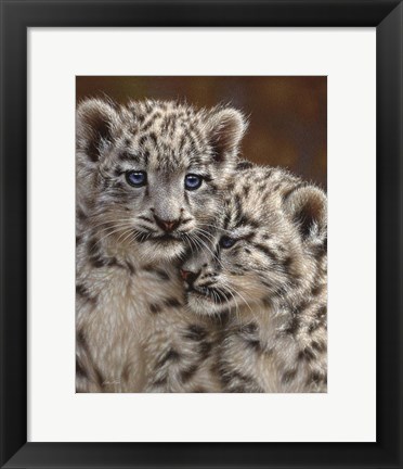 Framed Snow Leopard Cubs - Playmates Print