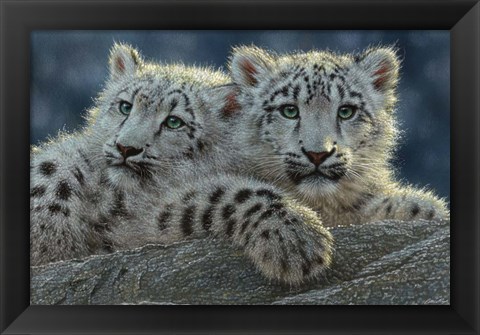 Framed Snow Leopard Cubs Print