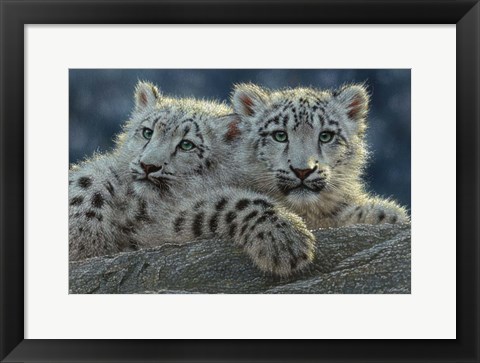 Framed Snow Leopard Cubs Print