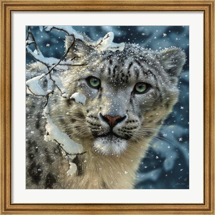 Framed Snow Leopard Print