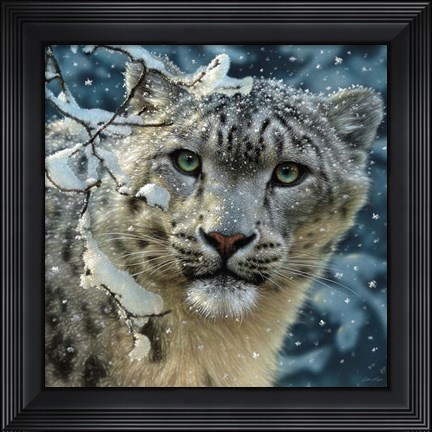 Framed Snow Leopard Print