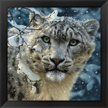 Framed Snow Leopard Print