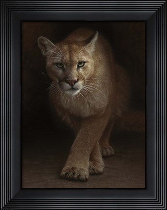 Framed Cougar - Emergence Print