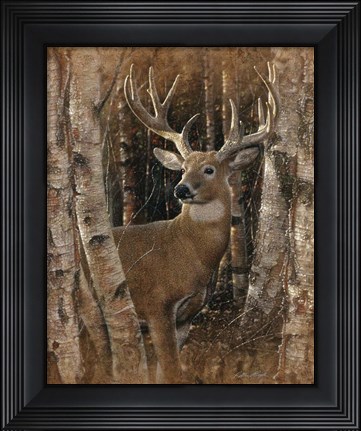 Framed Whitetail Deer - Birchwood Buck Print