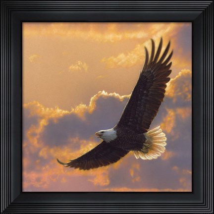 Framed Soaring Spirit Print