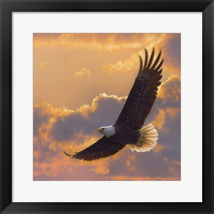 Framed Soaring Spirit Print