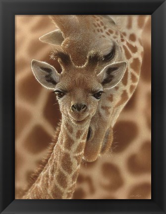 Framed Newborn Giraffe Print