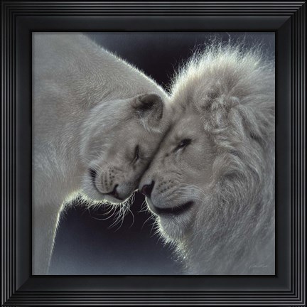 Framed White Lion Love Print