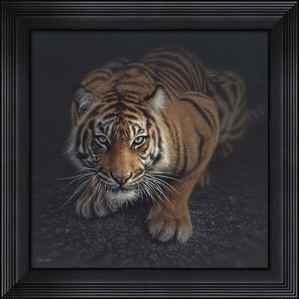 Framed Crouching Tiger Print