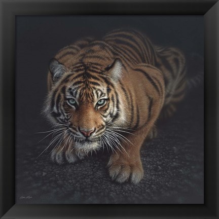 Framed Crouching Tiger Print