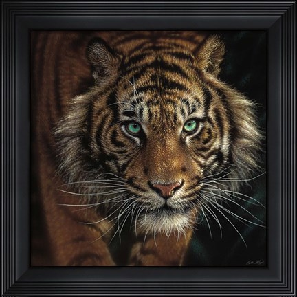Framed Eye of the Tiger - Square Print