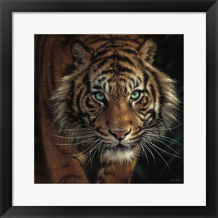 Framed Eye of the Tiger - Square Print