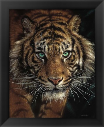 Framed Eye of the Tiger Print