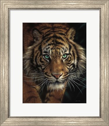 Framed Eye of the Tiger Print