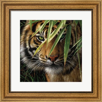 Framed Tiger - Emerald Forest Print