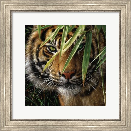 Framed Tiger - Emerald Forest Print