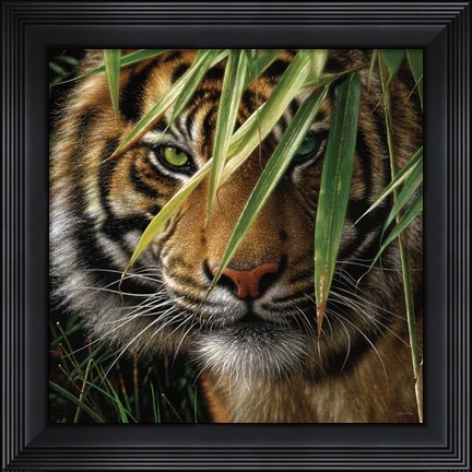 Framed Tiger - Emerald Forest Print