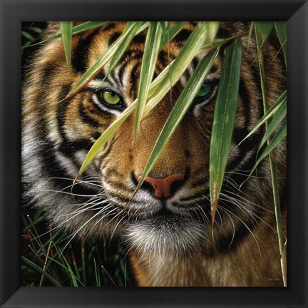 Framed Tiger - Emerald Forest Print