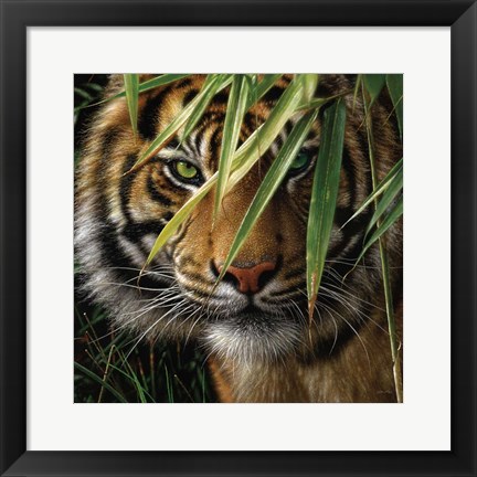 Framed Tiger - Emerald Forest Print