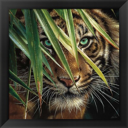 Framed Tiger Eyes Print