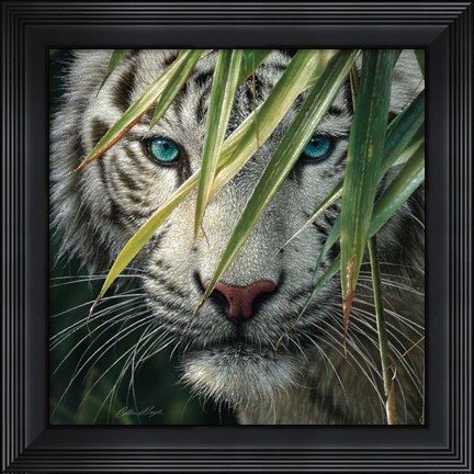 Framed White Tiger Bamboo Forest Print