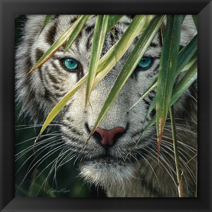 Framed White Tiger Bamboo Forest Print