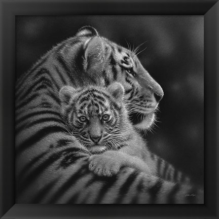 Framed Tiger Mother and Cub - Cherished - B&amp;W Print