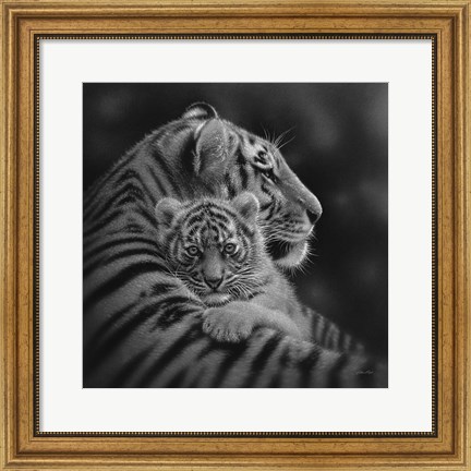Framed Tiger Mother and Cub - Cherished - B&amp;W Print