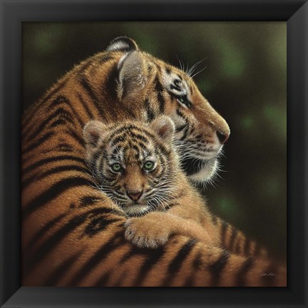 Framed Tiger Mother and Cub - Cherished Print