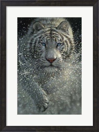 Framed White Tiger - West and Wild Print