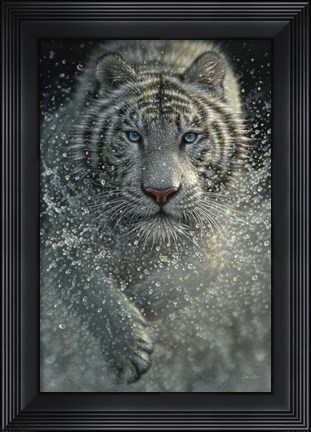 Framed White Tiger - West and Wild Print