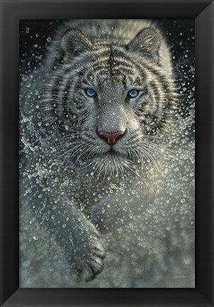 Framed White Tiger - West and Wild Print