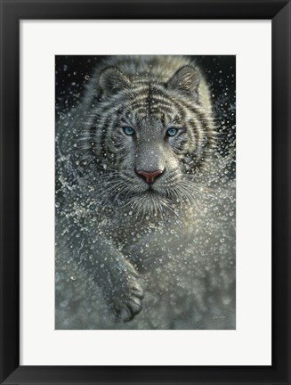 Framed White Tiger - West and Wild Print