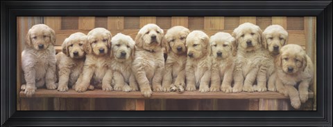 Framed Puppy Squeeze Print