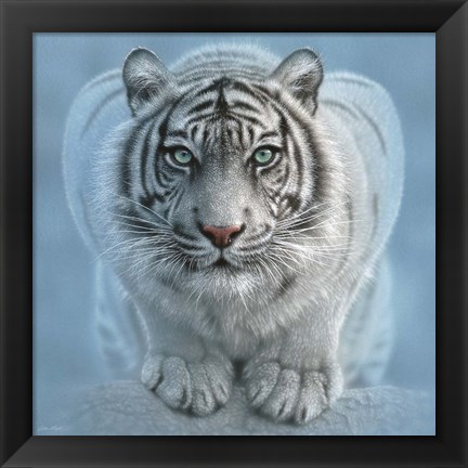 Framed White Tiger - Wild Intentions Square Print
