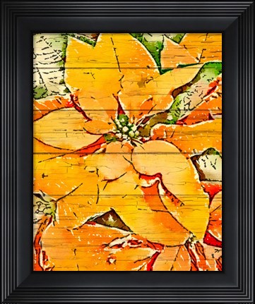 Framed Poinsettia Gold Print