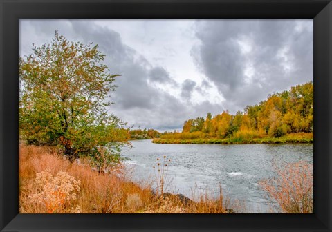 Framed Snake River Autumn I Print