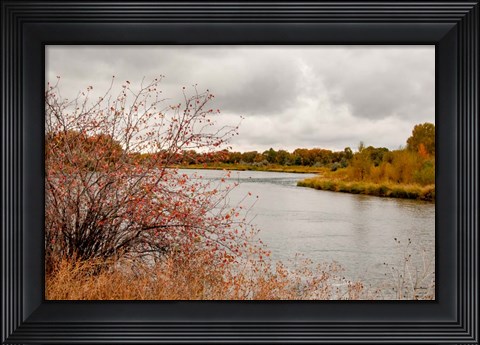 Framed Snake River Autumn II Print