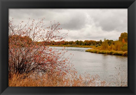 Framed Snake River Autumn II Print