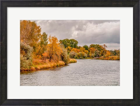 Framed Snake River Autumn III Print