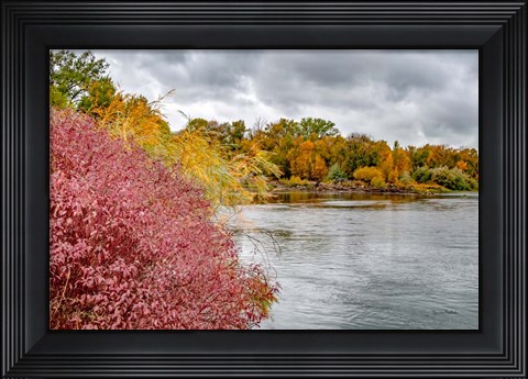 Framed Snake River Autumn IV Print