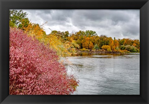 Framed Snake River Autumn IV Print
